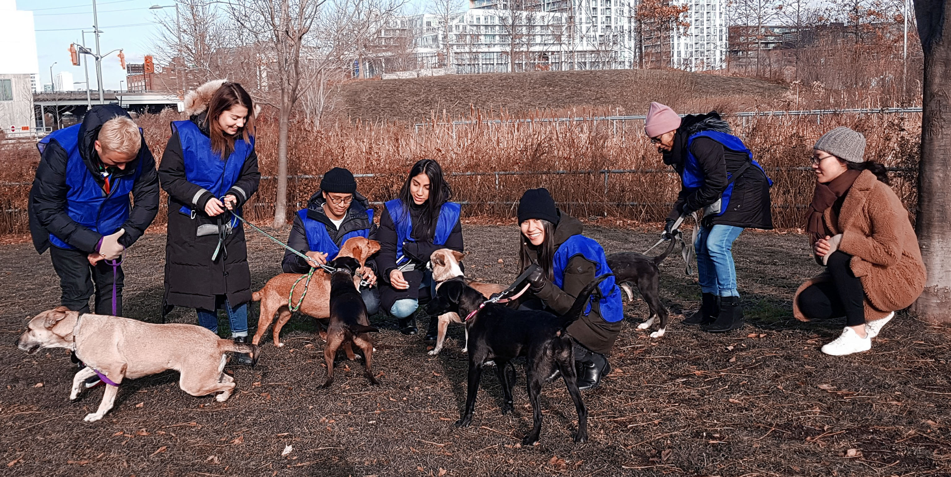 Volunteer Days at StackAdapt
