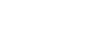 Zoom logo