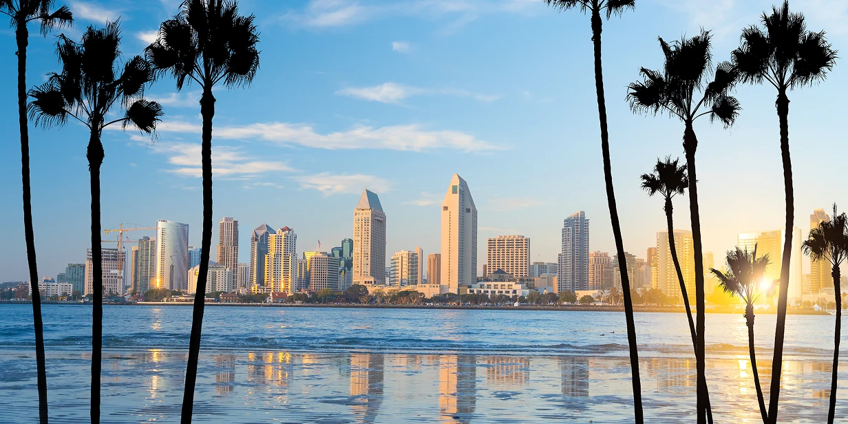 Palm trees facing sunny urban waterfront