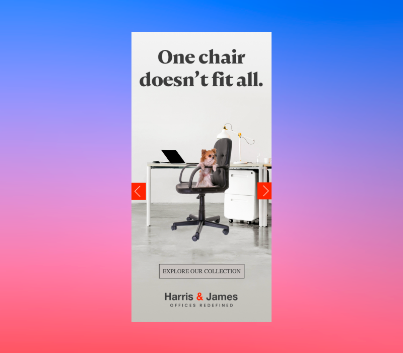Small dog sitting on an office chair at a desk beneath the headline “One chair doesn’t fit all” with a furniture brand logo and “Explore our collection” button.